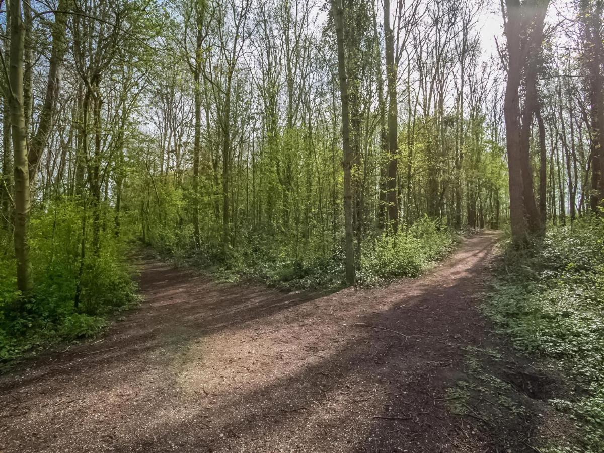 Holiday Home In Noordwijkerhout With Terrace Close To A Lake Esterno foto