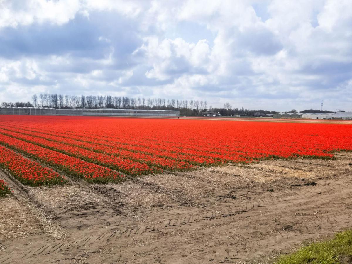Holiday Home In Noordwijkerhout With Terrace Close To A Lake Esterno foto